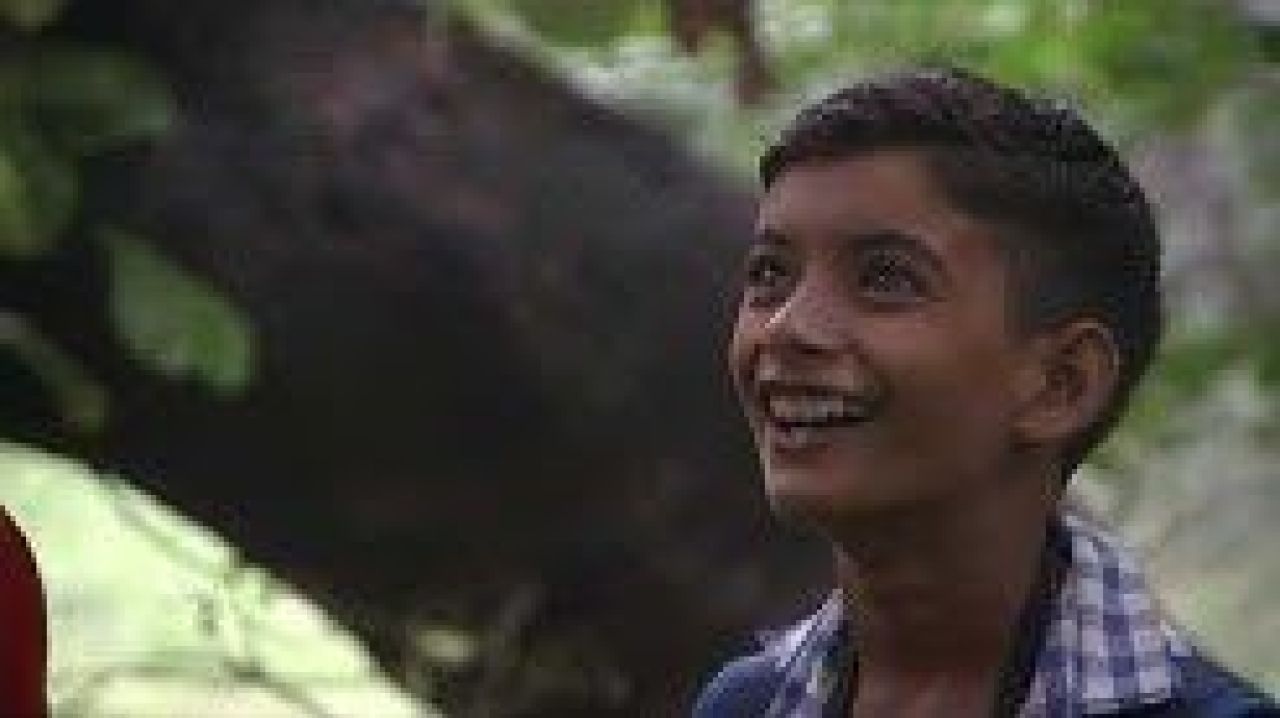 Vikalp Sangam A Movement for Alternatives