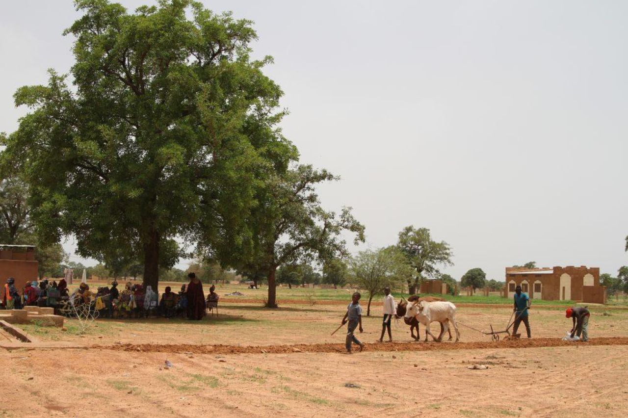 Agriculture et maraichage Kolokani Mali