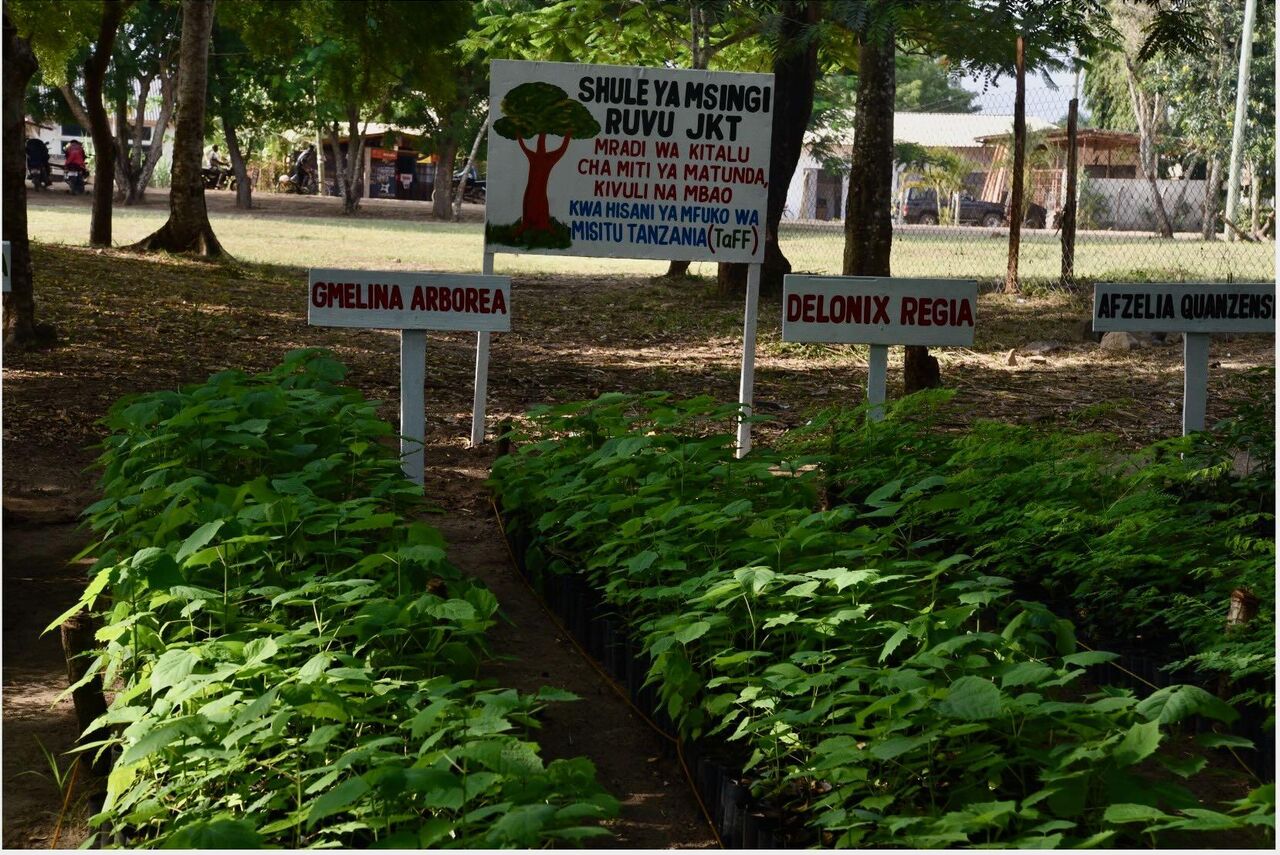 Tanzania 2