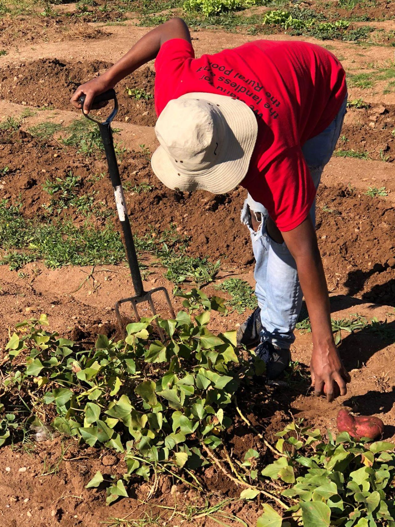 Photo courtesy of CIPSET, Nelson Mandela University