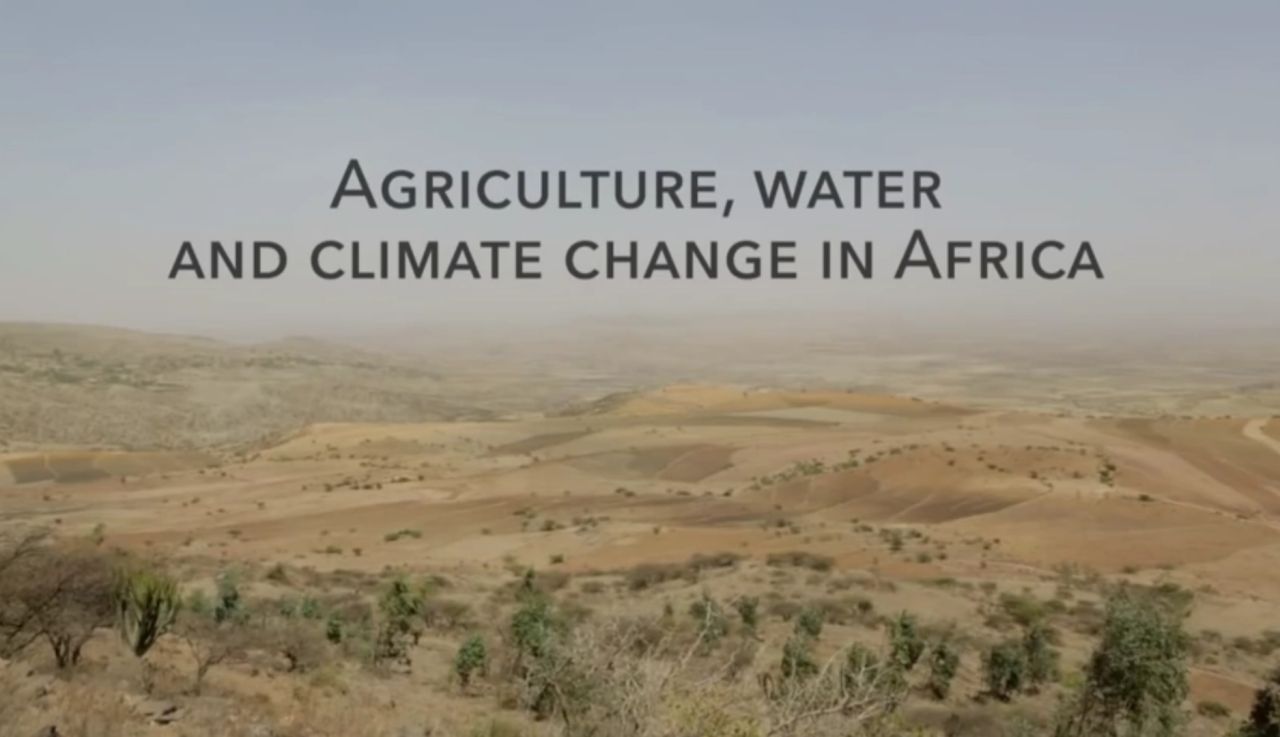 Screenshot 20211126 082426