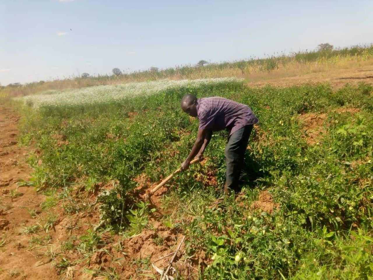 Whats App Image 2024 05 29 at 11 43 00 df3a67c2