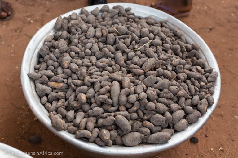 20171101 whaun frafra potatoes peesa Solenostemon rotundifolius 7993