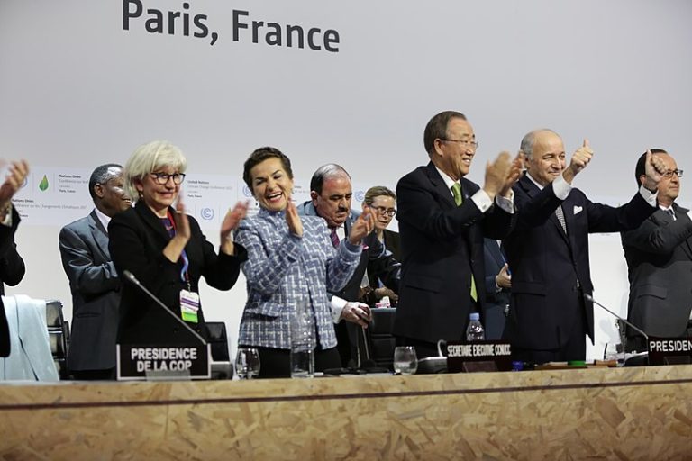 800px Adoption of the Paris Agreement 25876053520