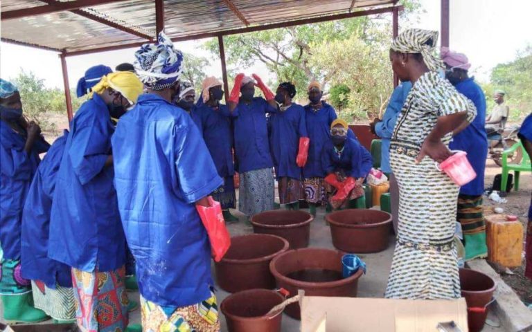 Activité dautonomisation des femmes au Mali