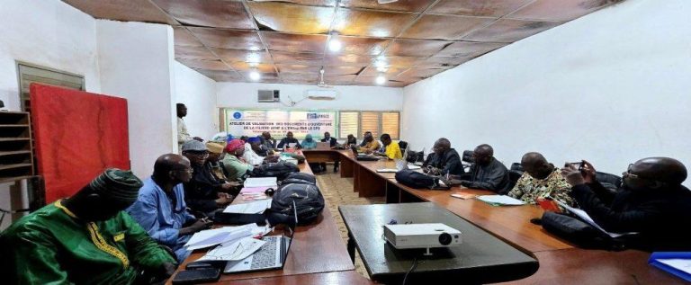 Atelier douverture de la filière AENF au Mali Afrique de l Ouest