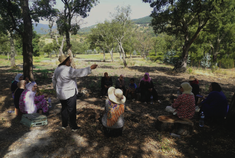 Bridging Local Knowledge