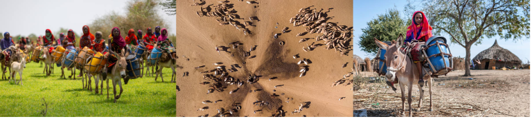 Chad Landscape Triptych