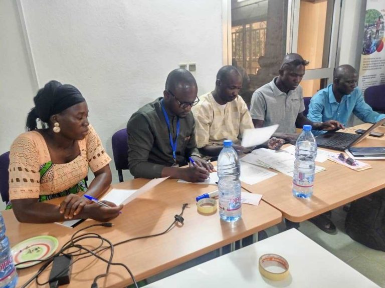 Groupe de Travail2 Formation Communication Mali