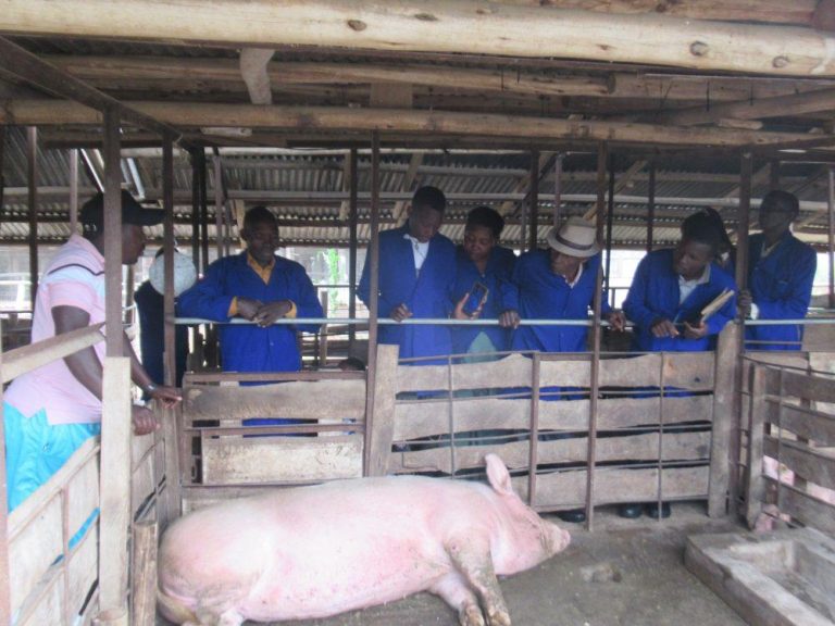 Learners during exposure visit at Master cares farmers group facilitated by M Misesera