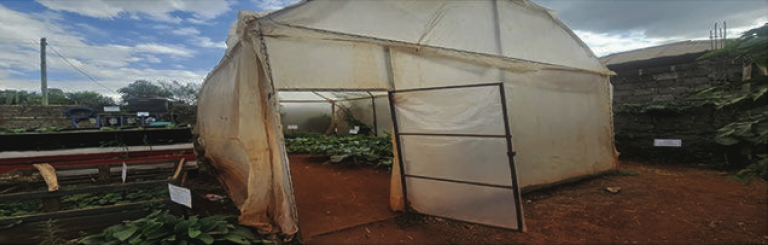 Learnings From the Farm1