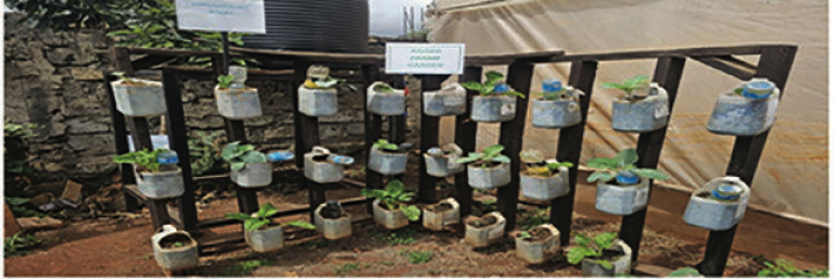 Learnings Fromthe Farm2