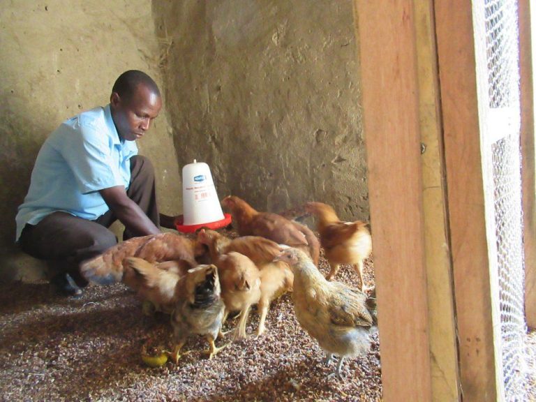 Mr Ssenabulya feeding his birds