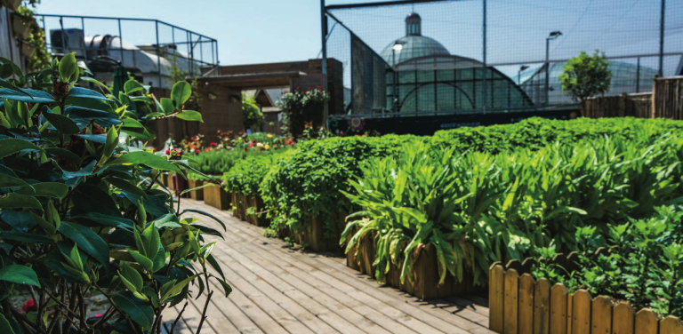 Urban garden Freepik